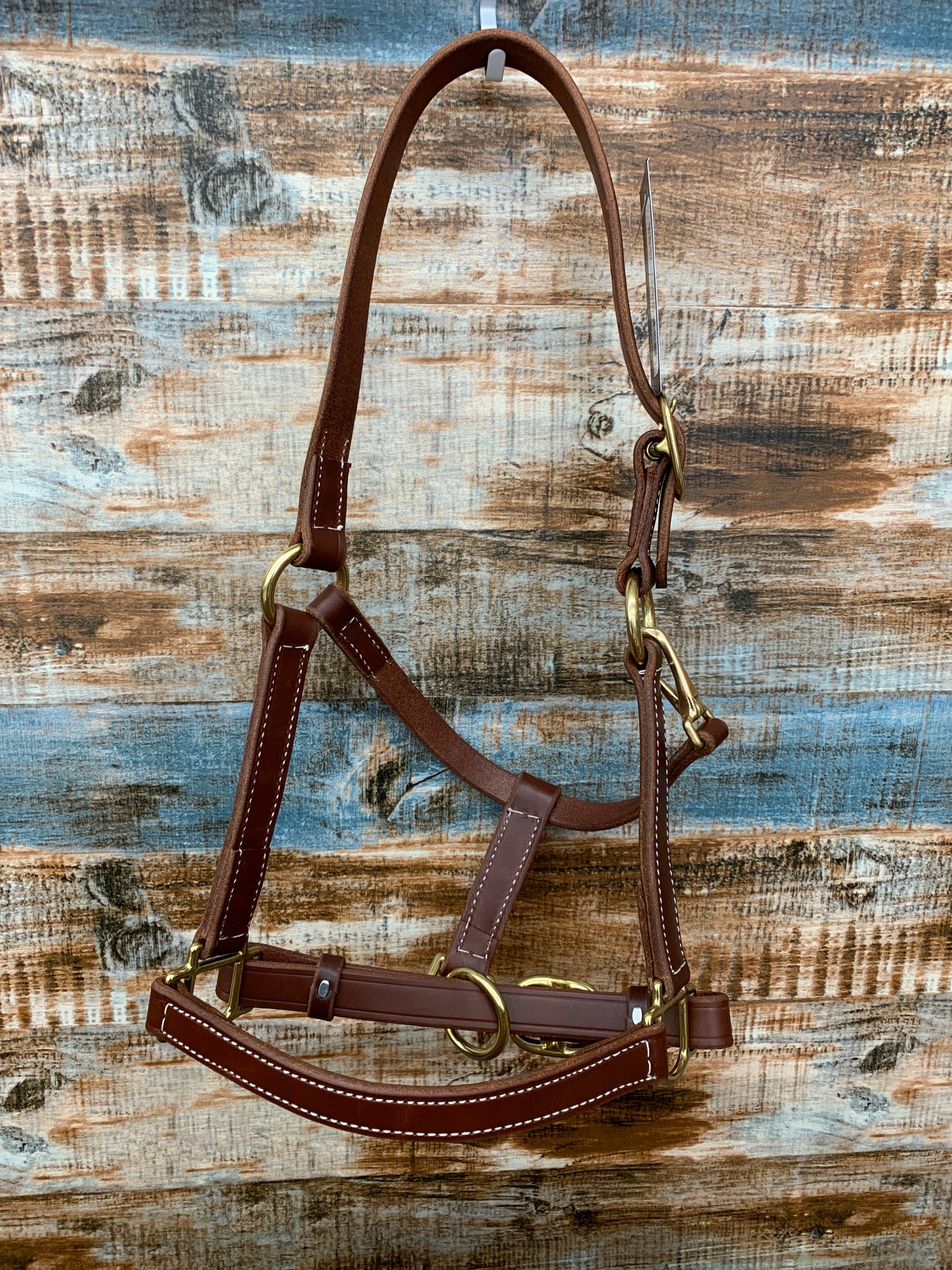 PC Turn Out Halter