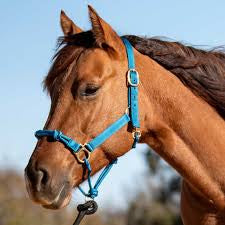 Nylon Rope Combo Halter