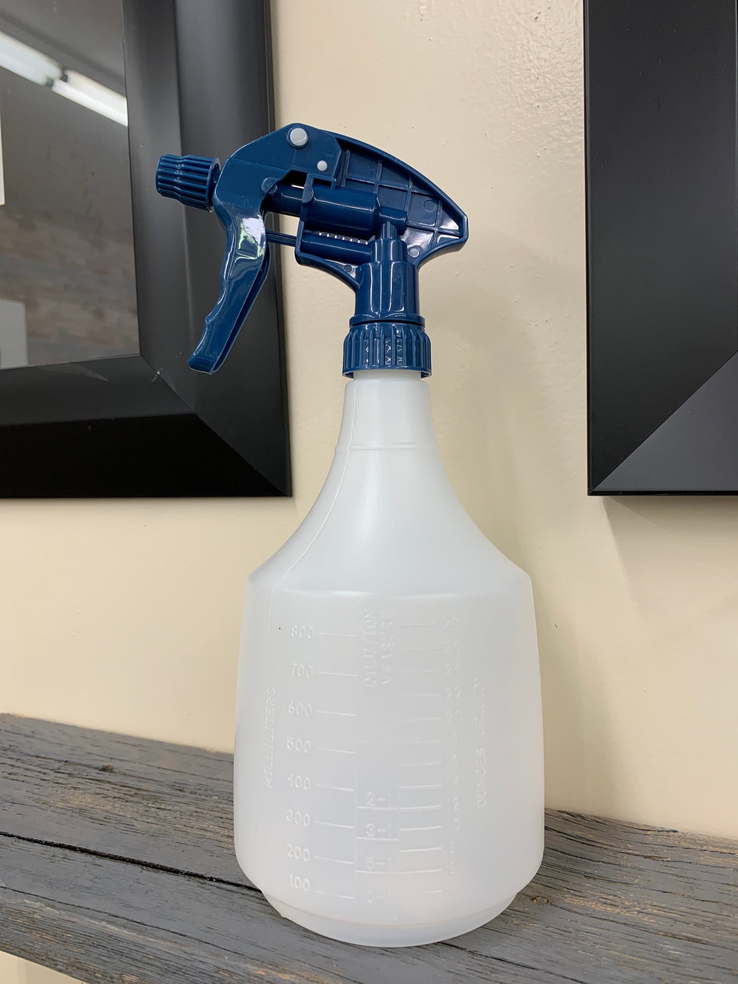 Spray Bottle 32oz