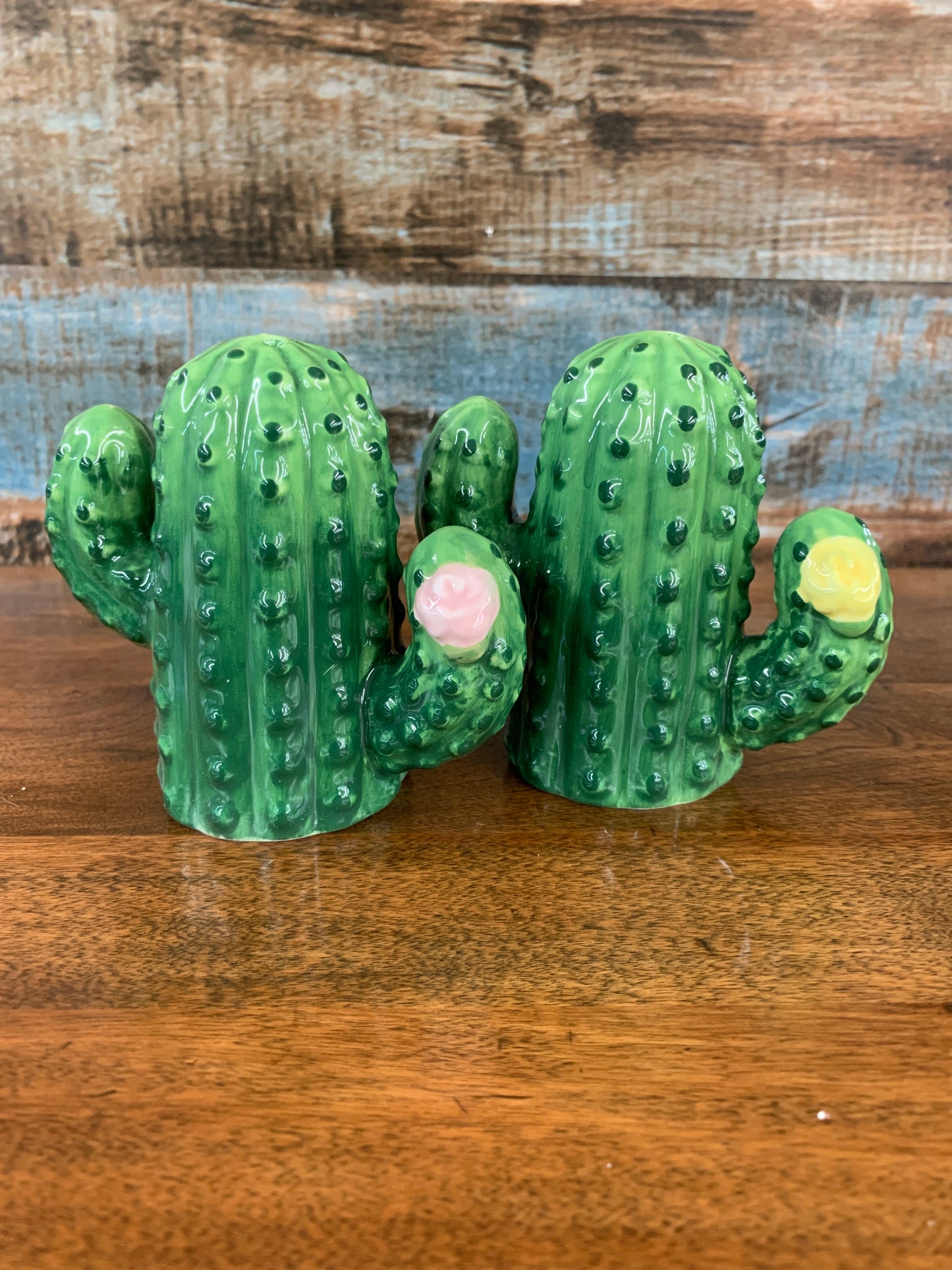 Cactus Verde Salt & Pepper Shakers 3.75”