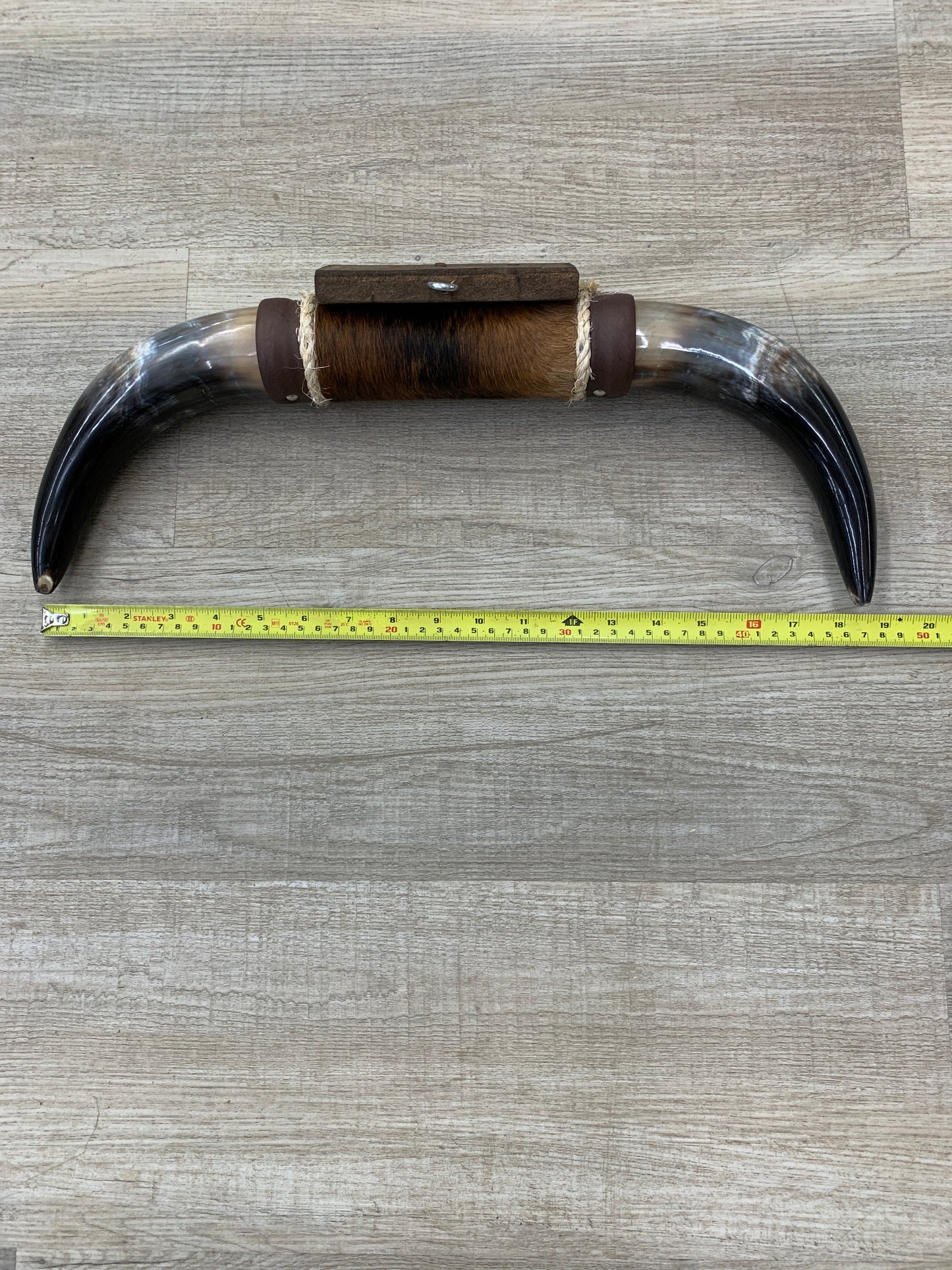 Genuine Steer Horns