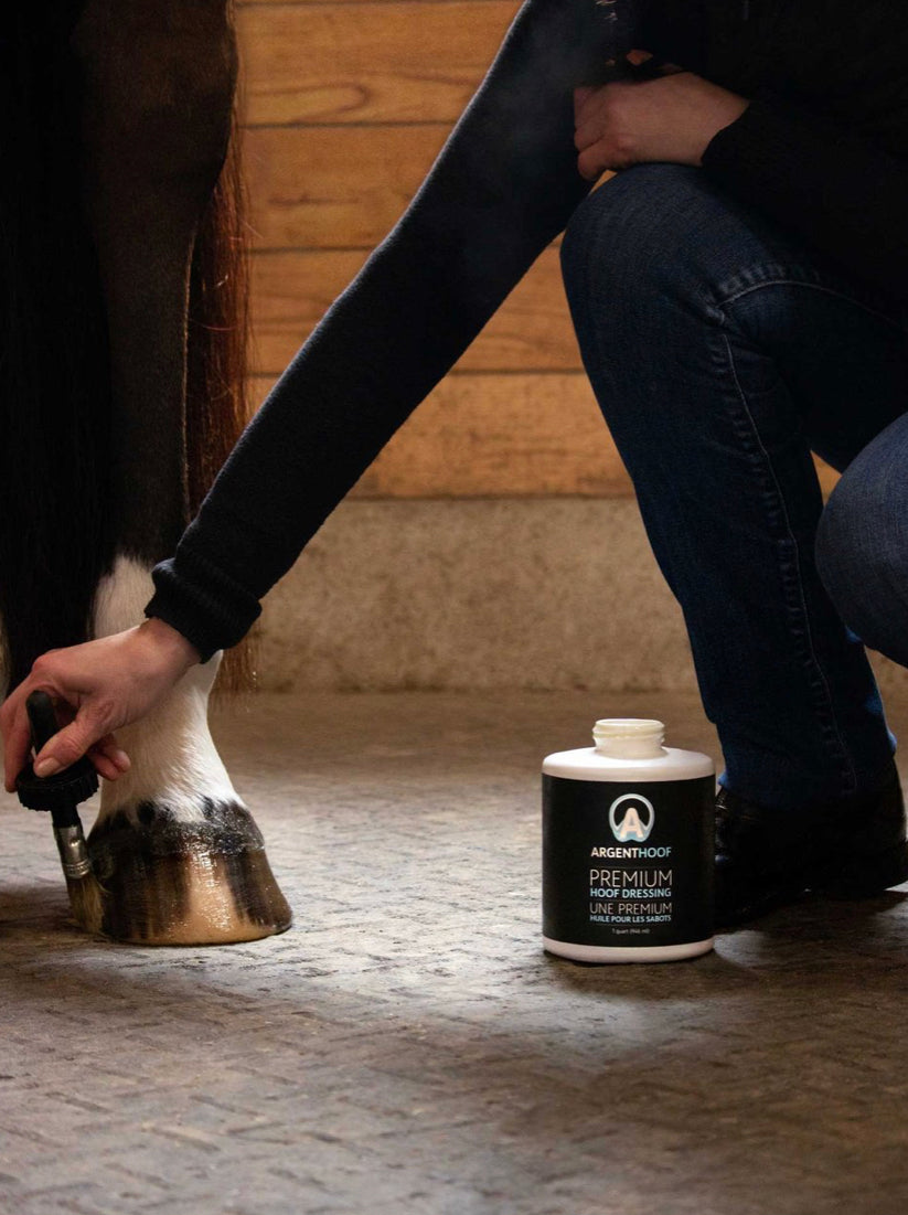 Argent Hoof by Equine Choice