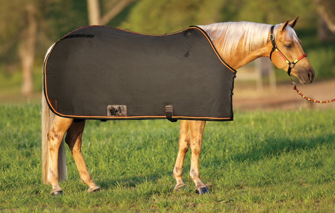 Big D Magnum Winter Western Fit