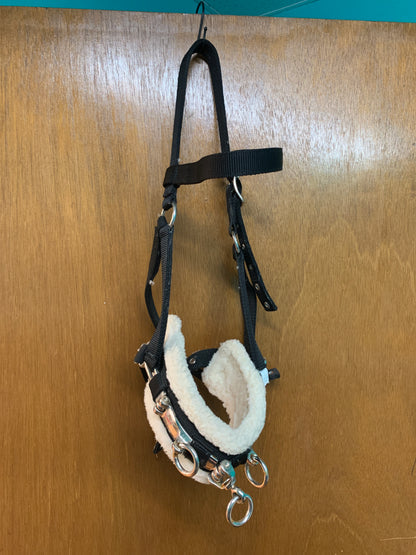 Used Lunging Cavesson