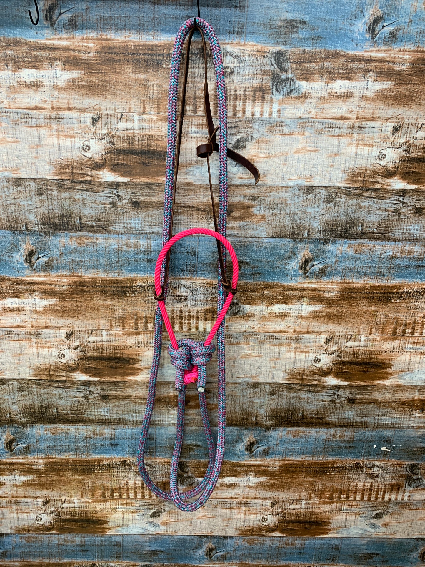 Loping Hackamore With Loop Reins