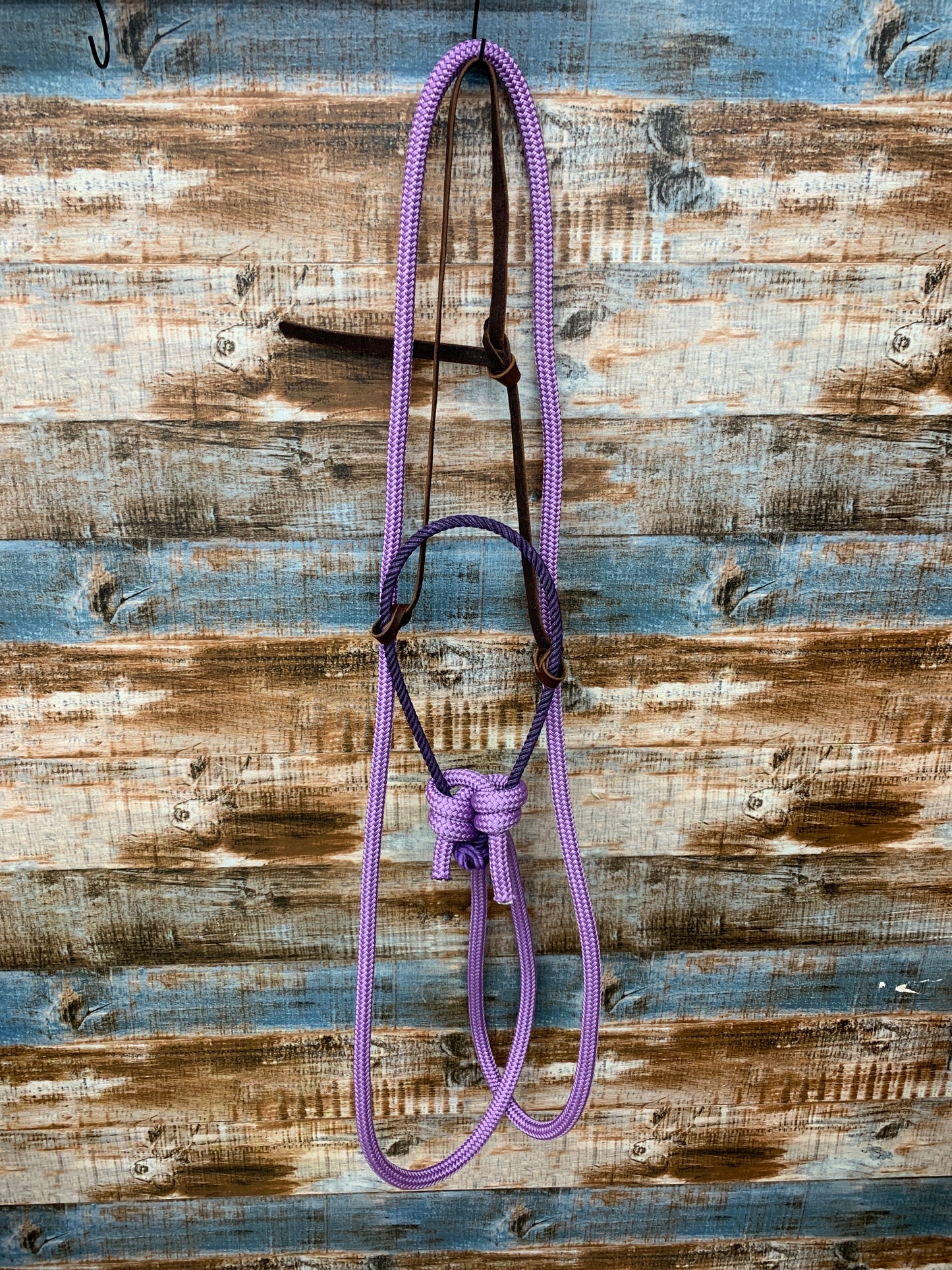 Loping Hackamore With Loop Reins