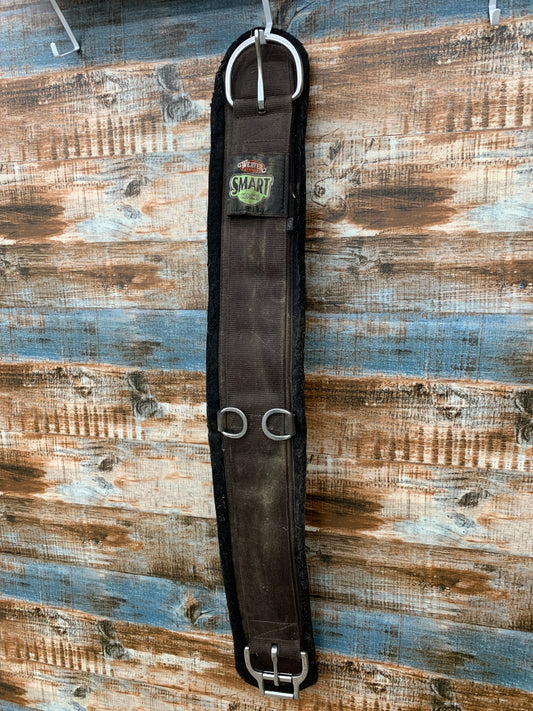 Used Weaver Cinch