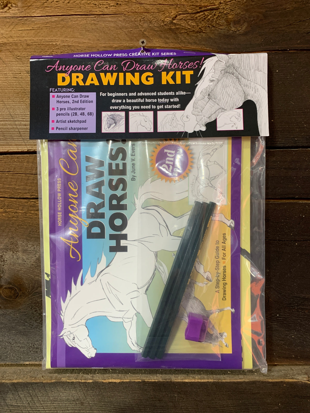 Horse Drawing Kit