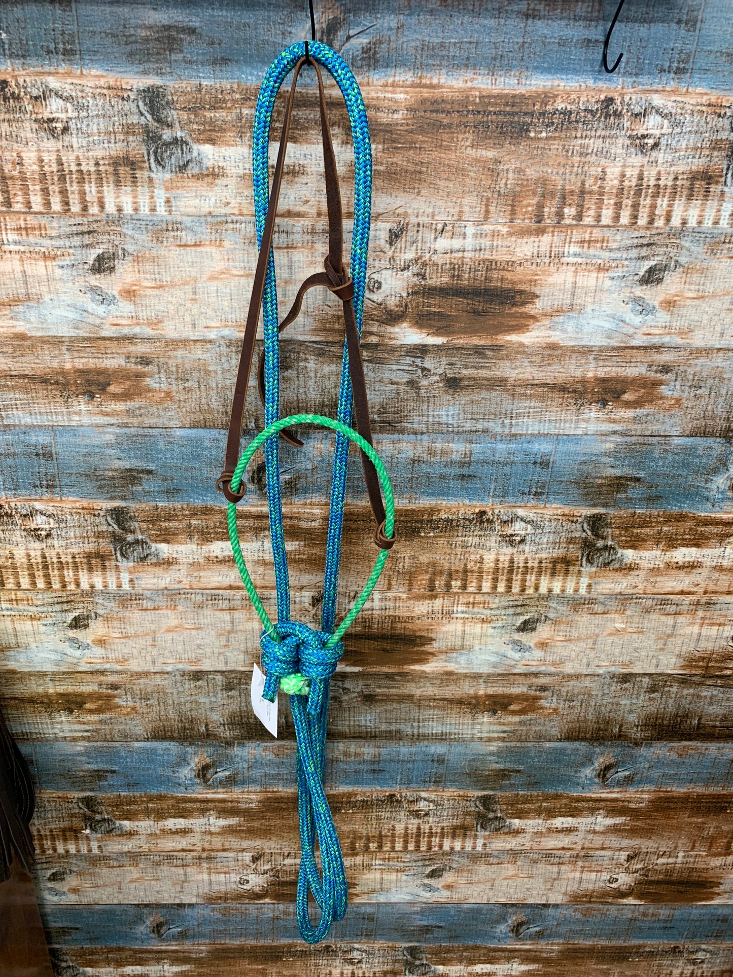 Loping Hackamore With Loop Reins