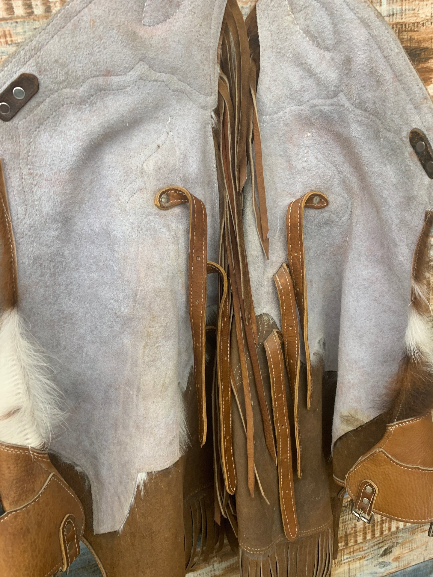 Used Saddle Barn Chaps