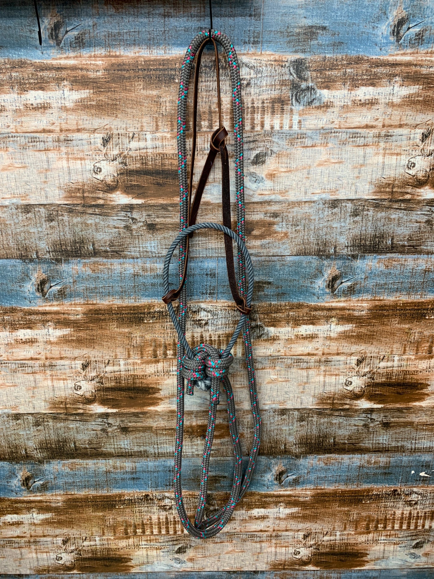 Loping Hackamore With Loop Reins