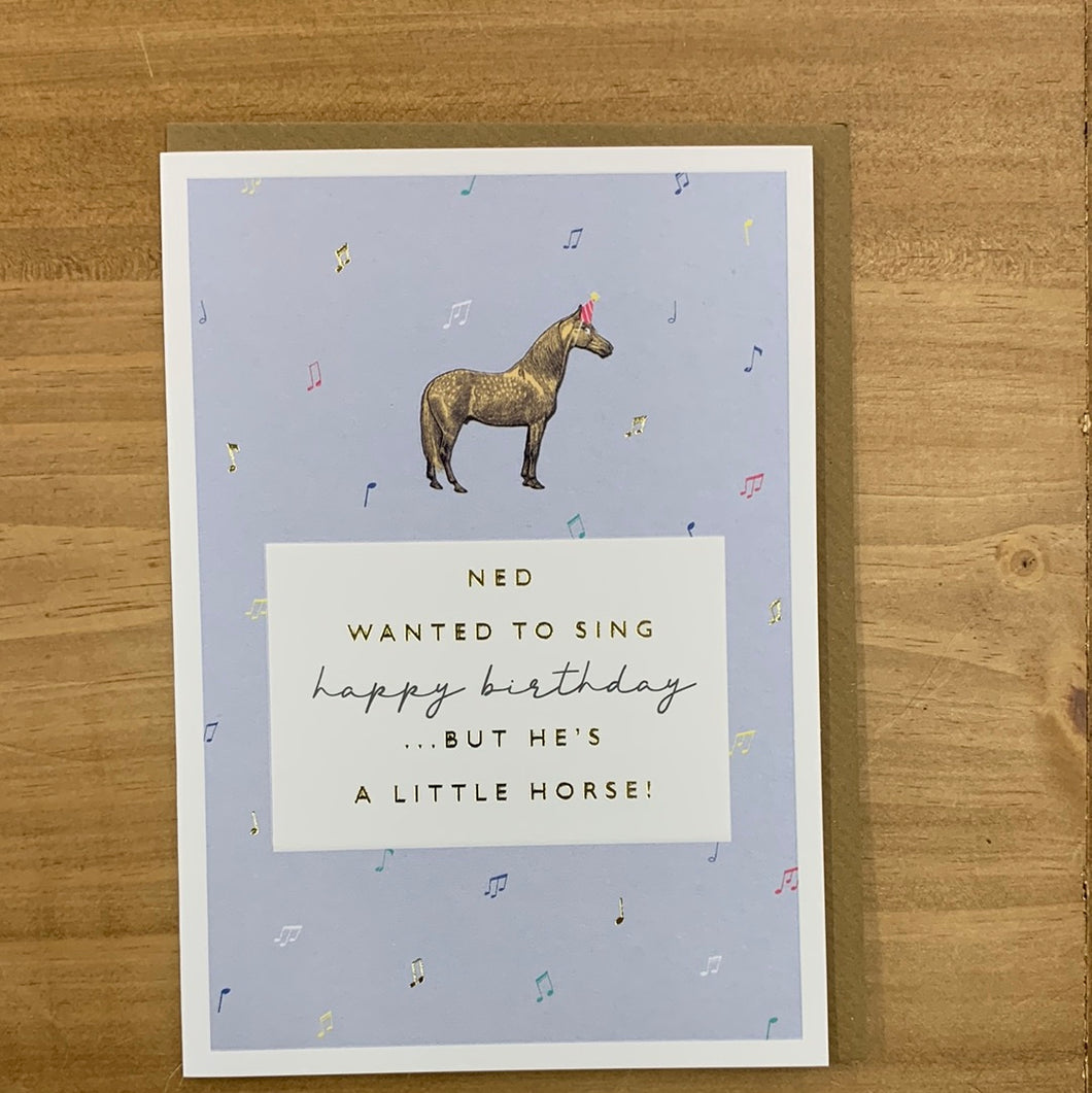 Greetings card, Ned the little horse