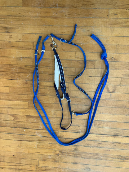 Used Nylon Tie Down Set w/ Reins