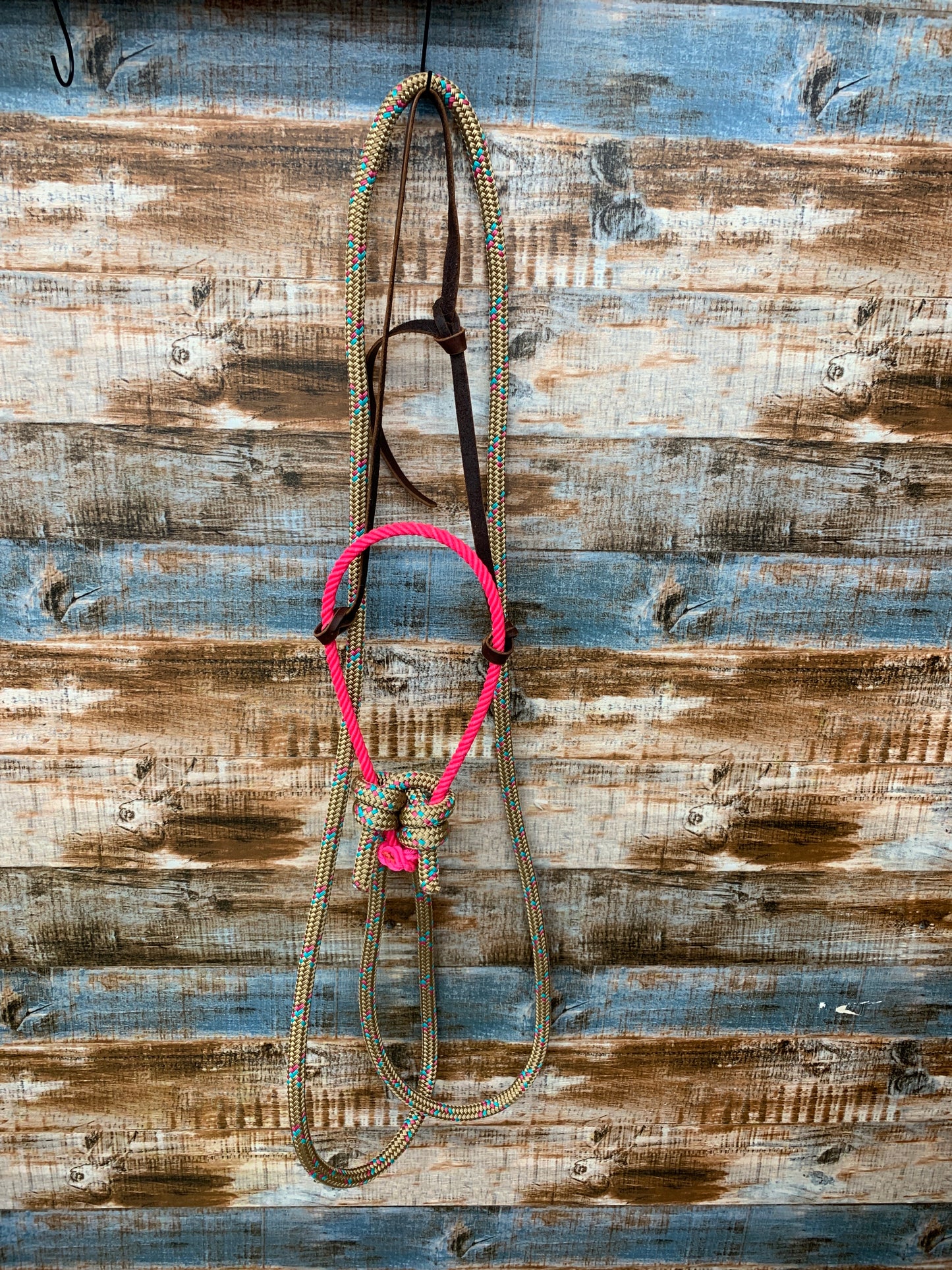 Loping Hackamore With Loop Reins