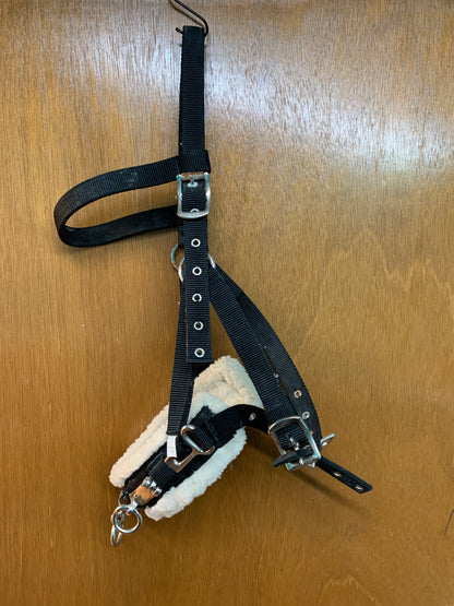 Used Lunging Cavesson