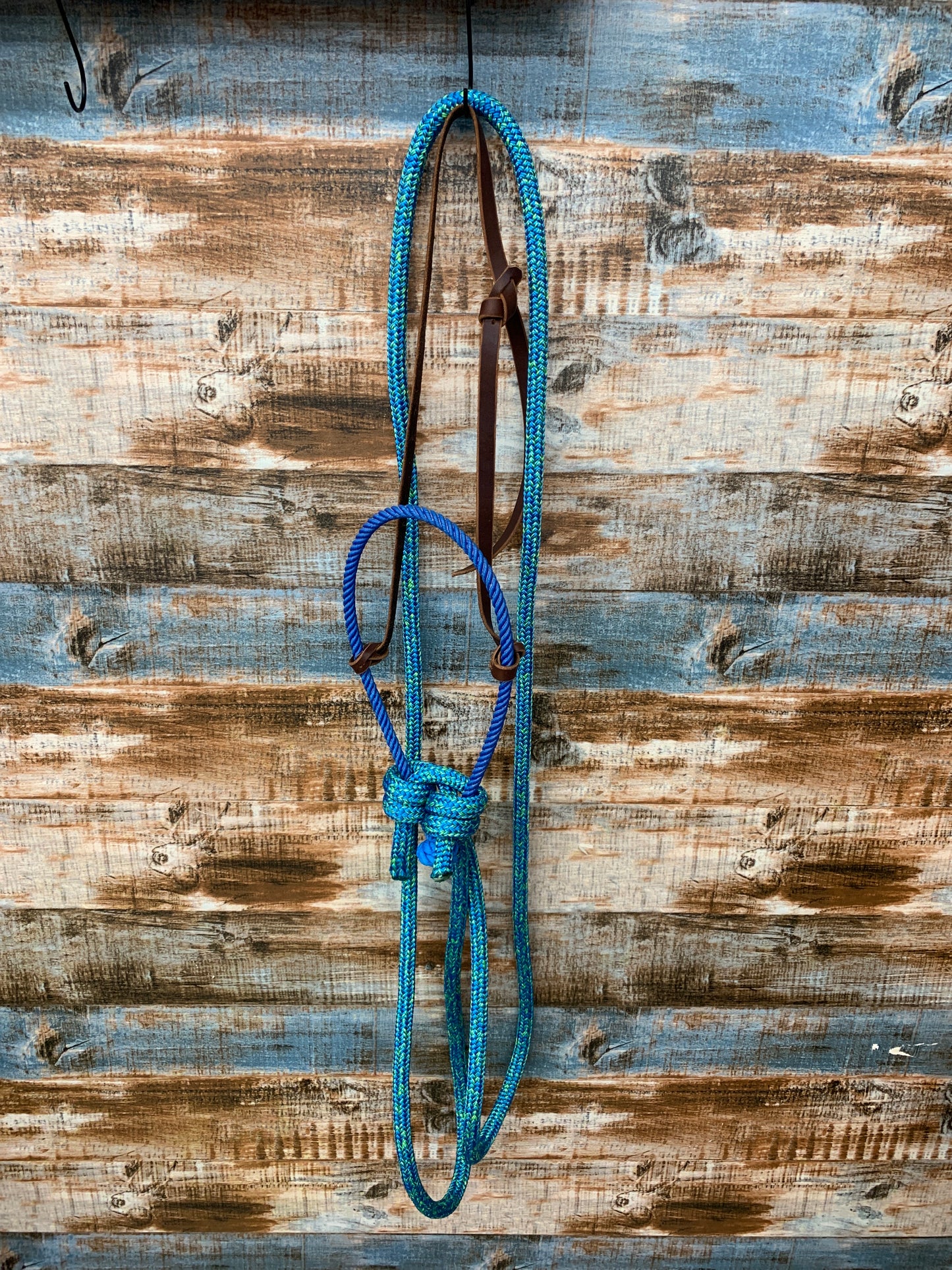 Loping Hackamore With Loop Reins
