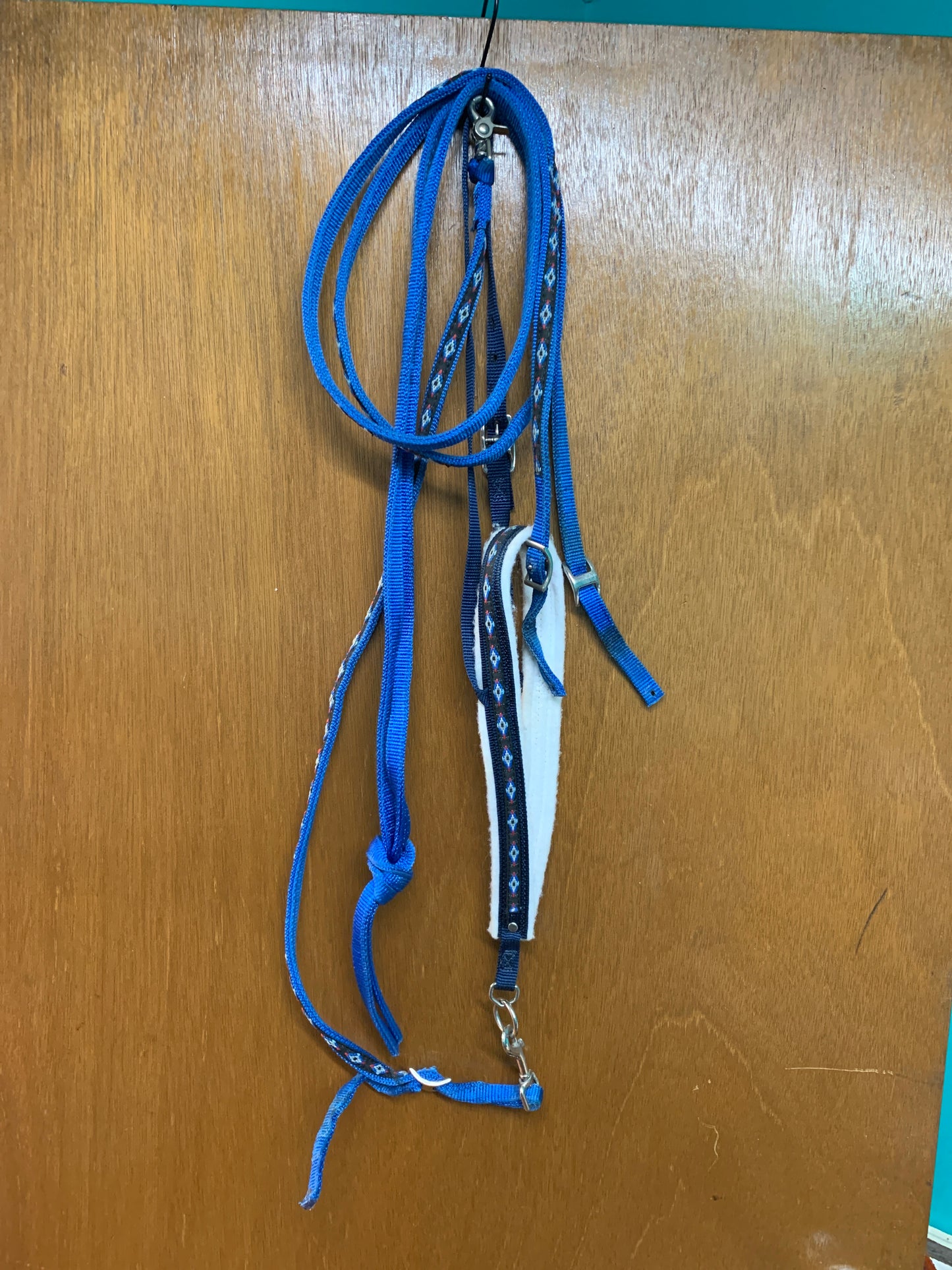 Used Nylon Tie Down Set w/ Reins