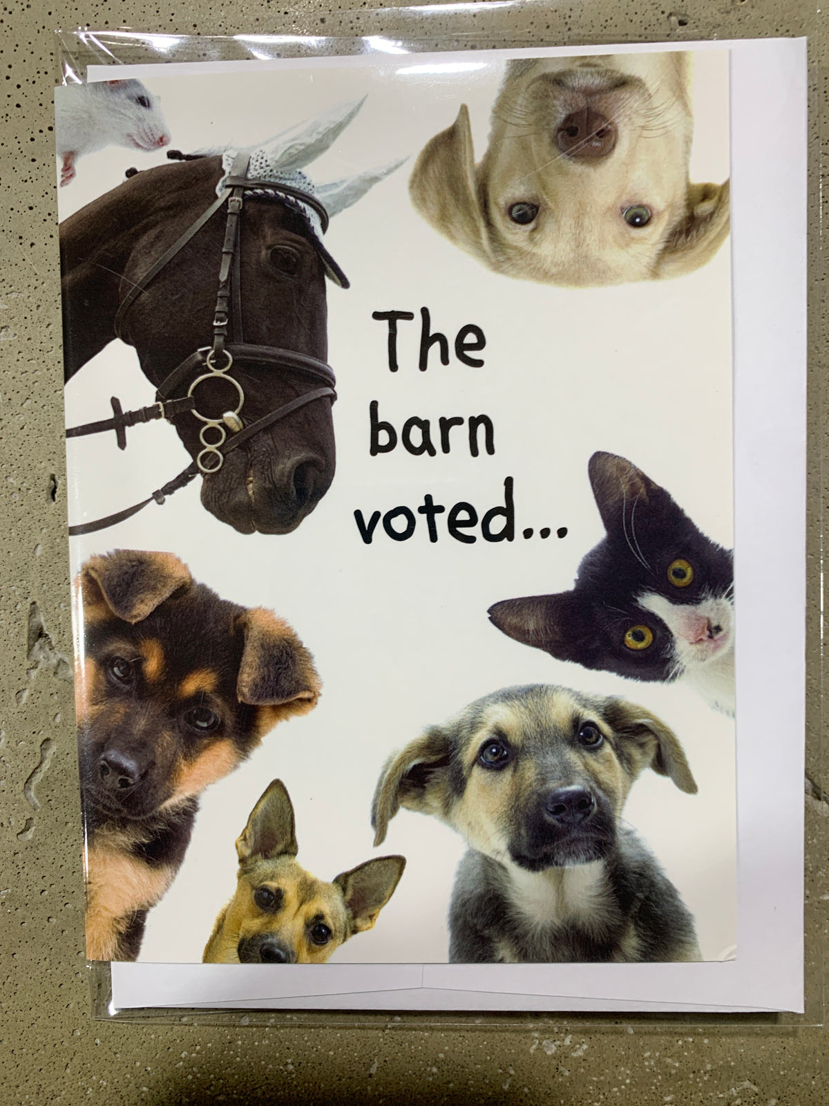 Birthday Card- The Barn Voted