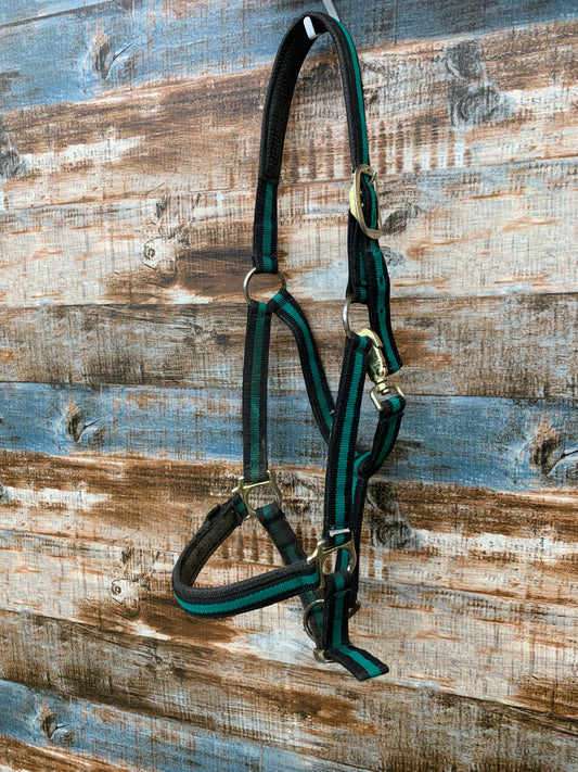 Used Halter