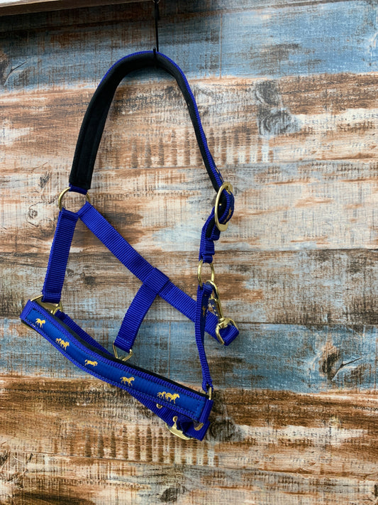 Used Pony Halter