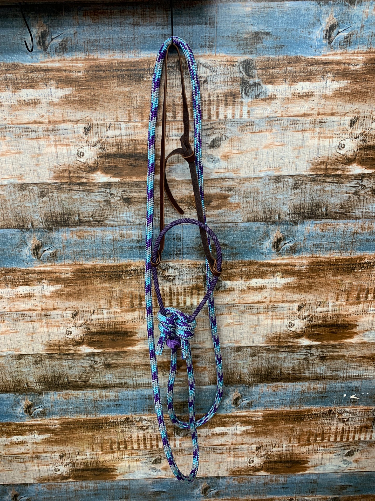 Loping Hackamore With Loop Reins