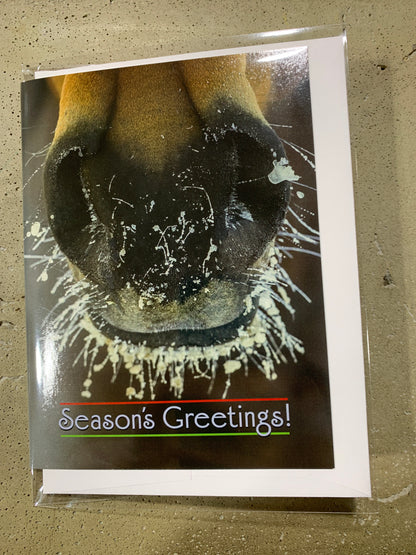 Christmas Card-Season’s Greetings!
