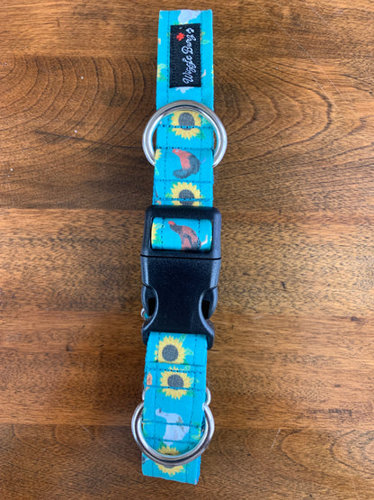 Martingale Dog Collars