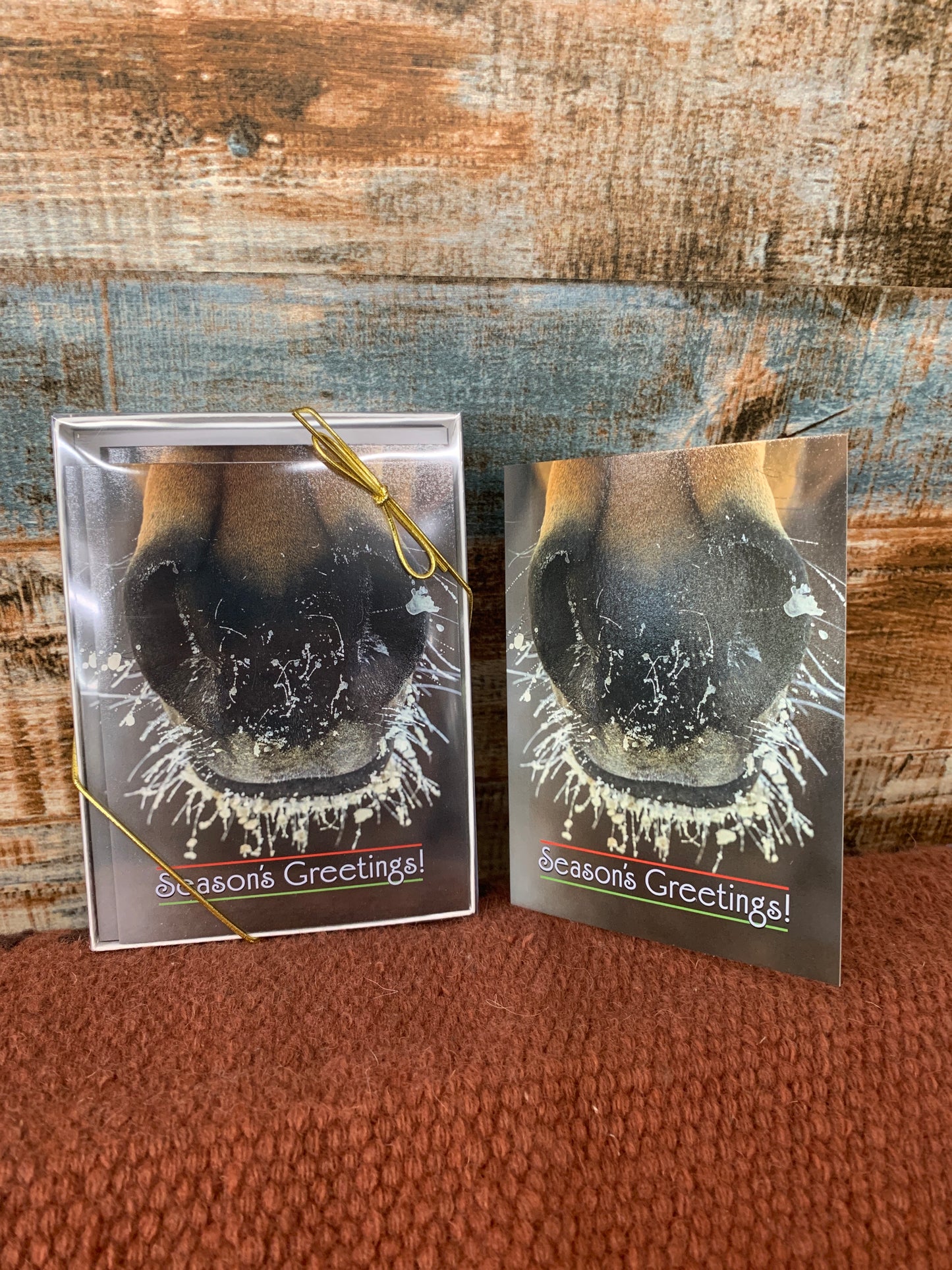 Holiday Box W/ 8 Cards-Frosty Muzzle