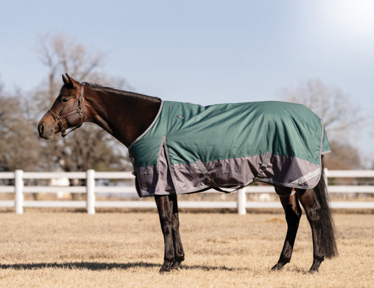 PC 1200D Winter Blankets