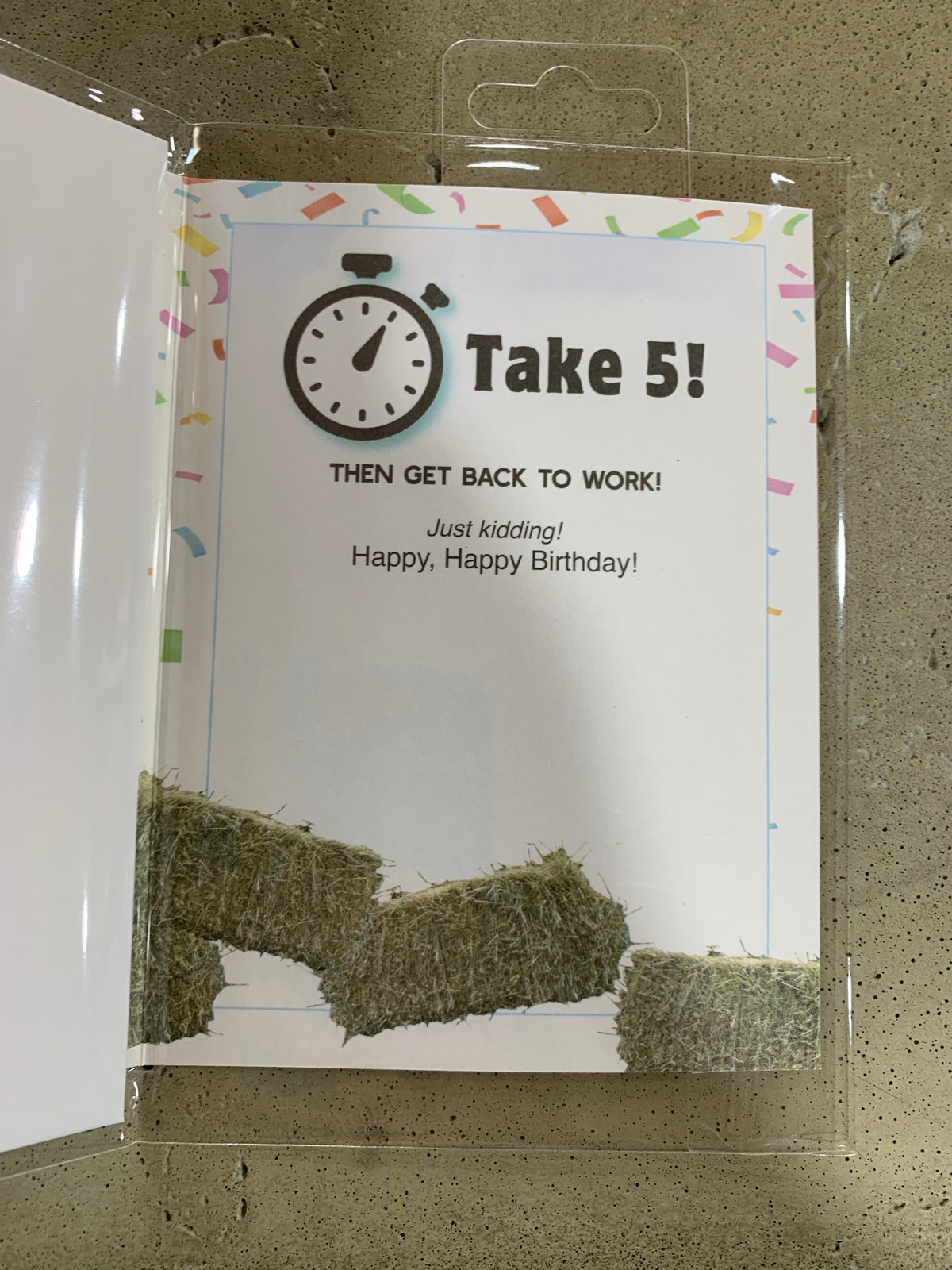 Birthday Card- Horse Husband
