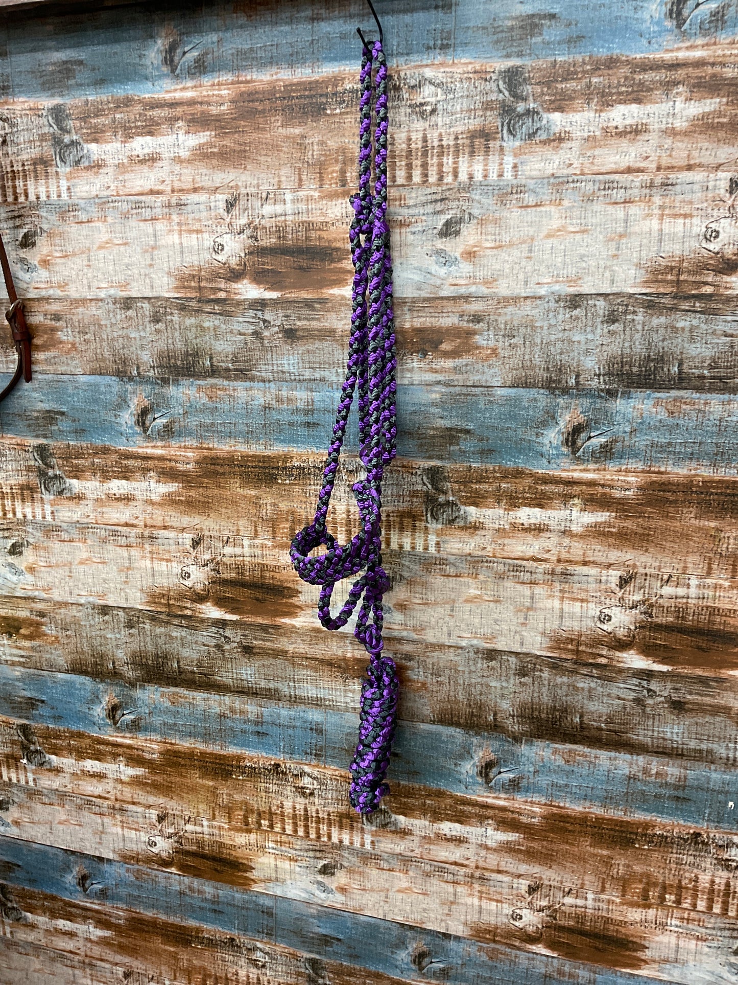 Flat Braid Rope Halter