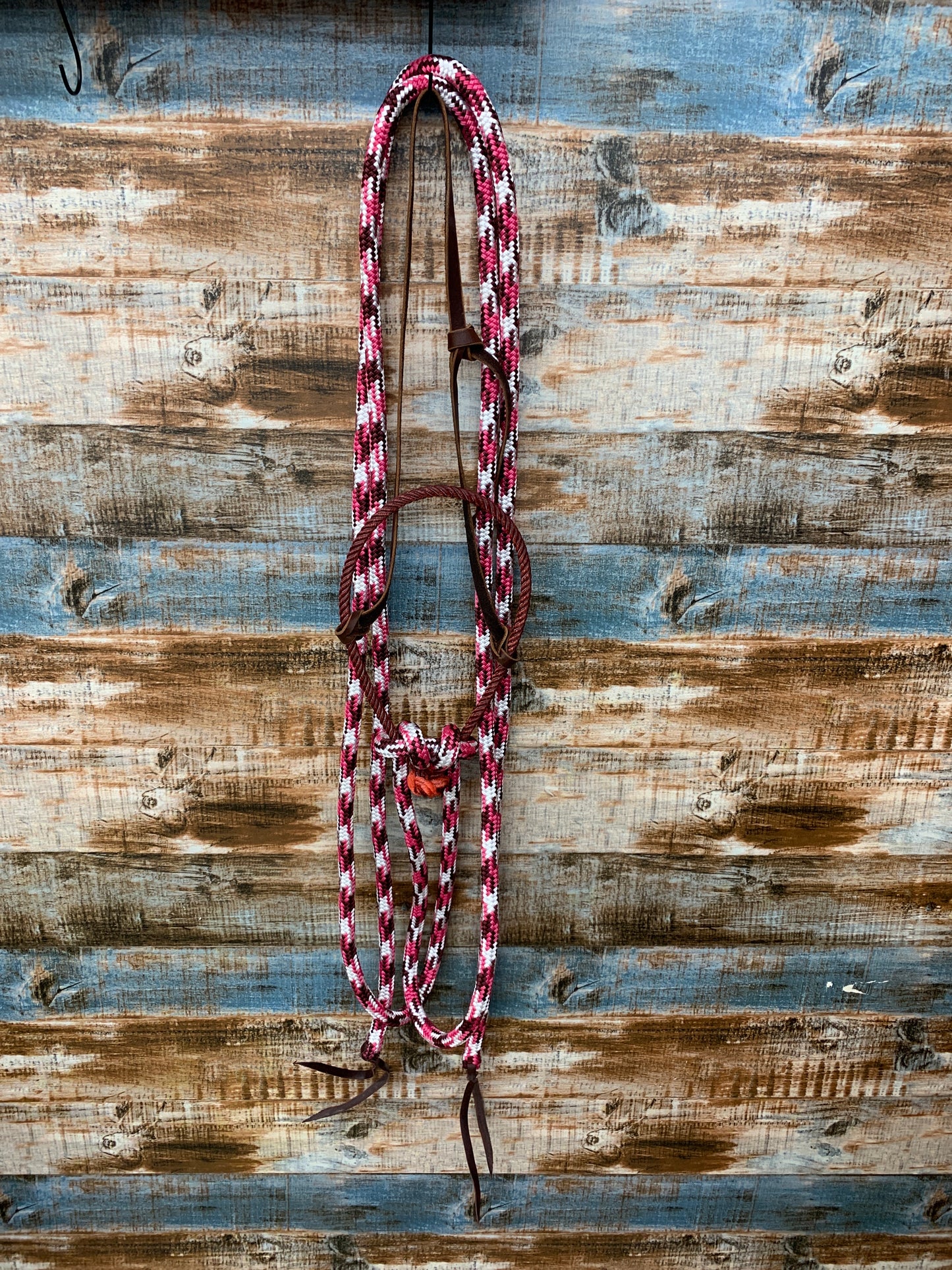 Loping Hackamore With Split Reins