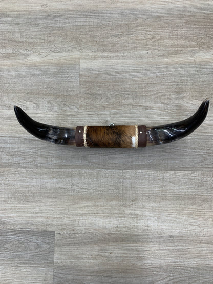 Genuine Steer Horns