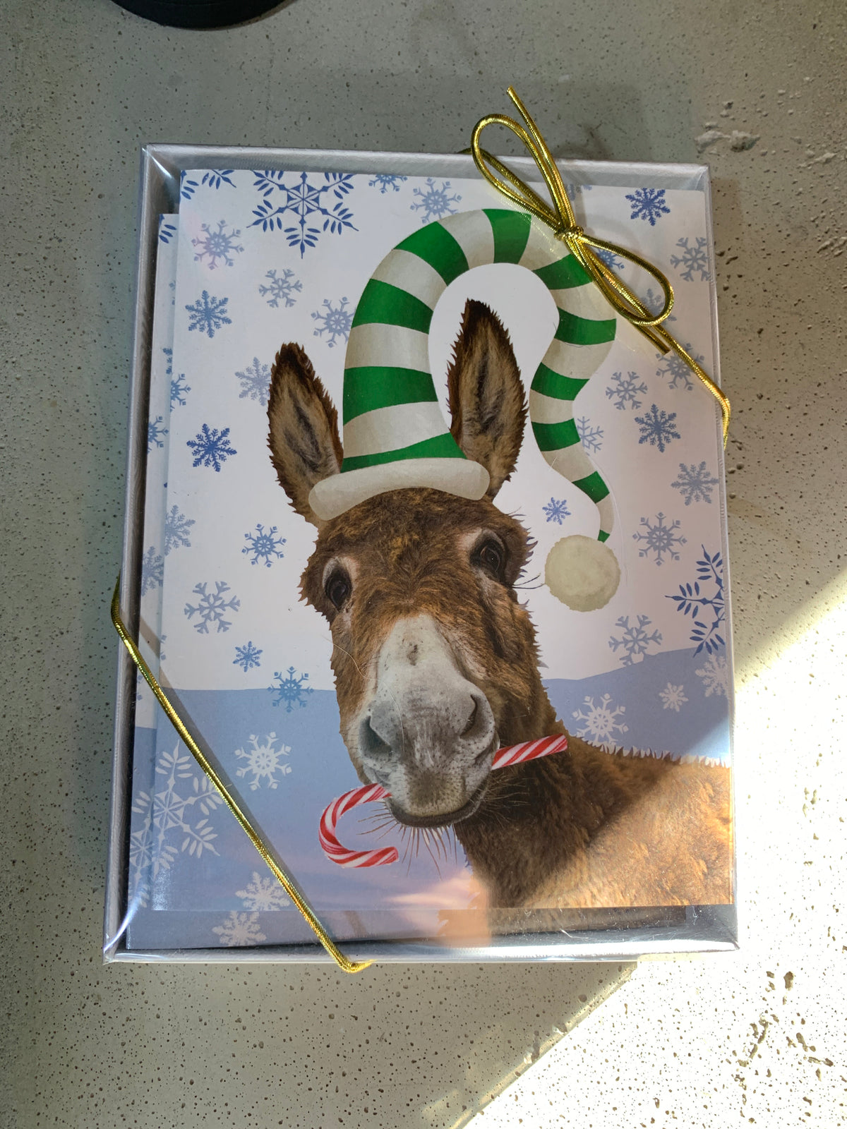 Box of 8 Christmas Cards- Elf Donkey