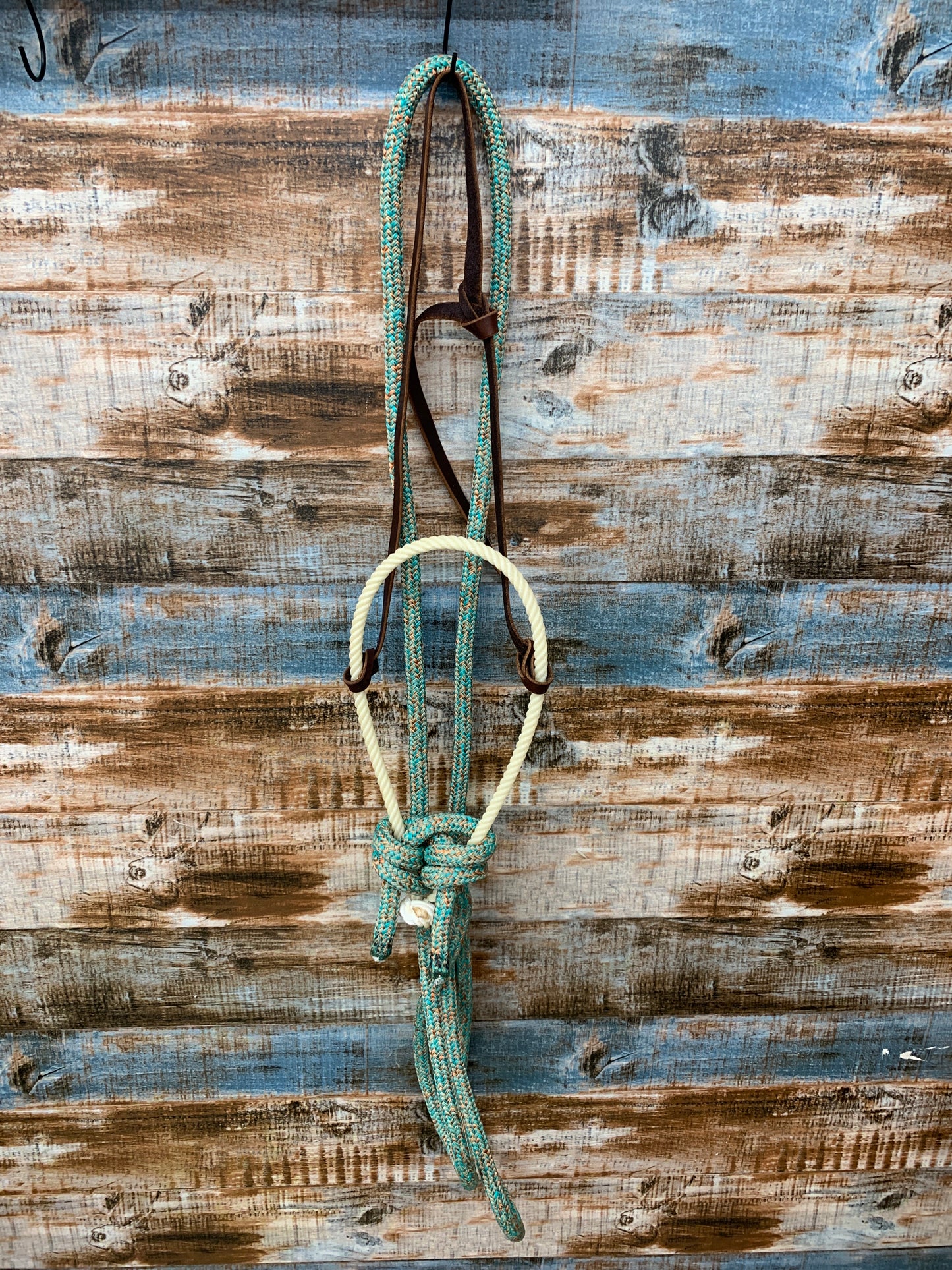 Loping Hackamore With Loop Reins
