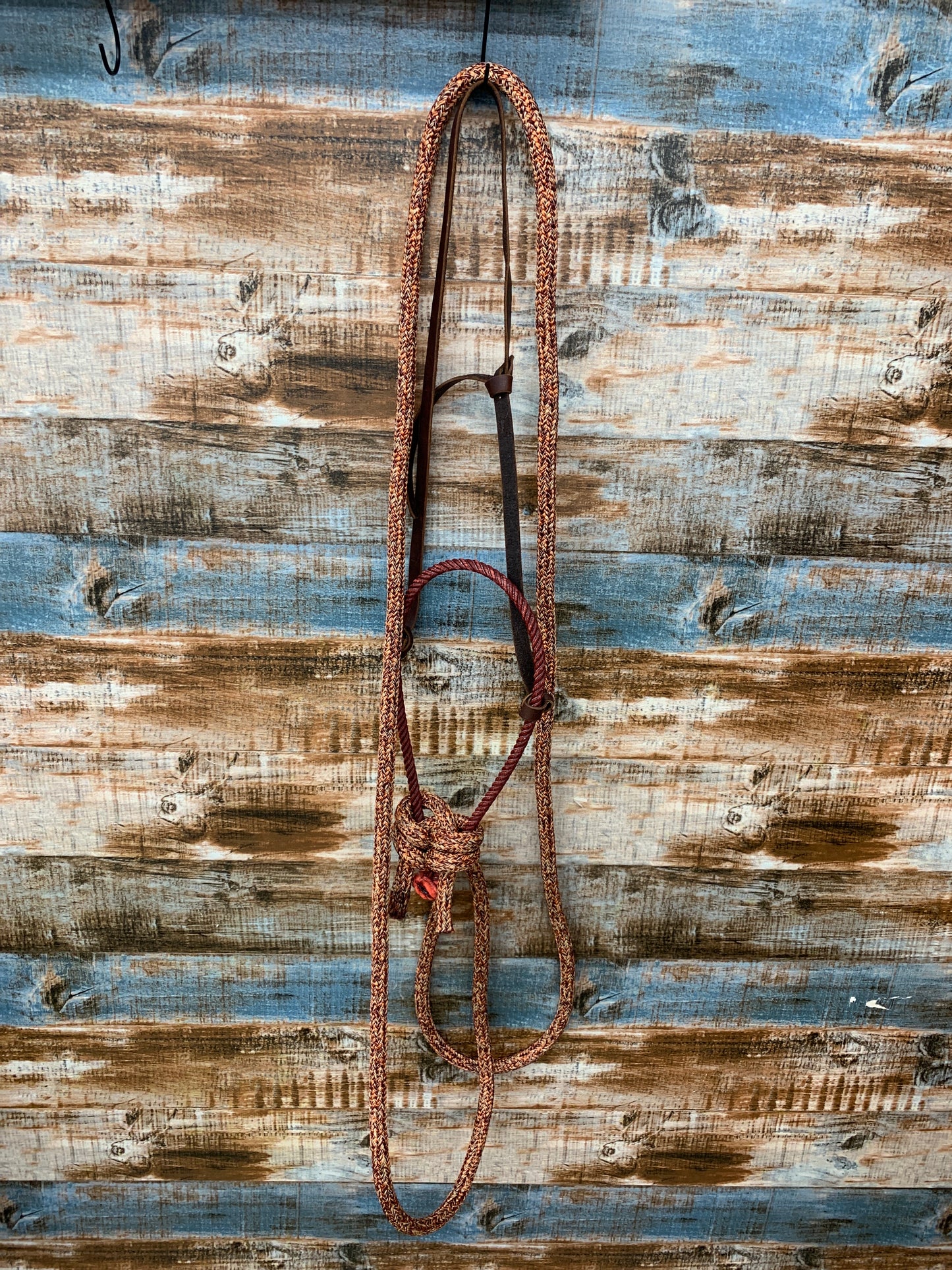 Loping Hackamore With Loop Reins