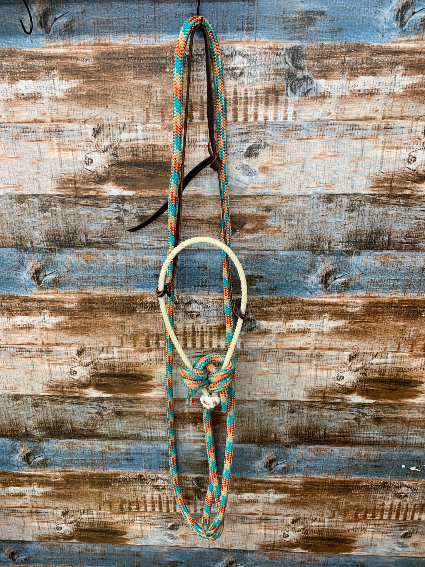 Loping Hackamore With Loop Reins
