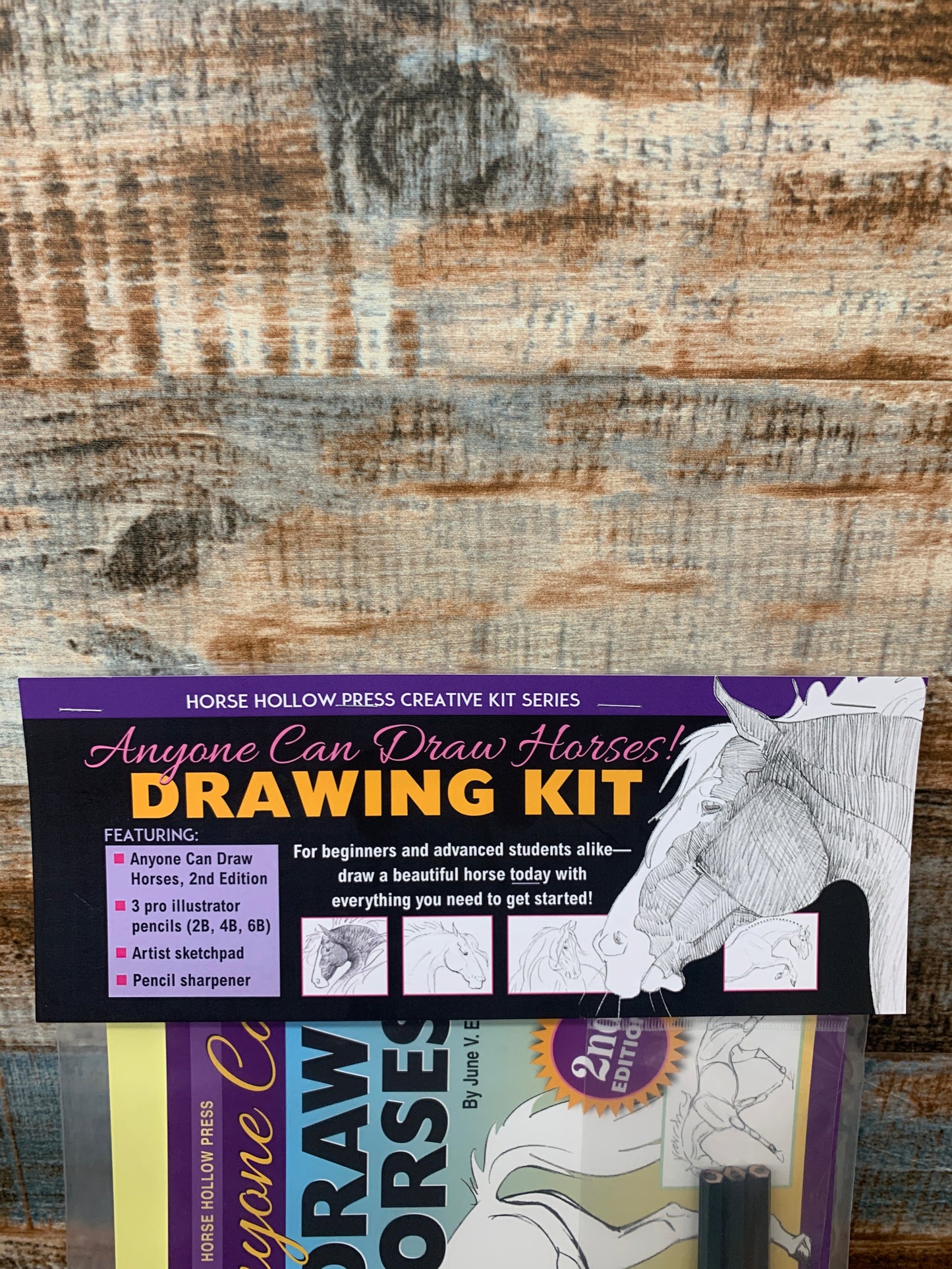 Horse Drawing Kit