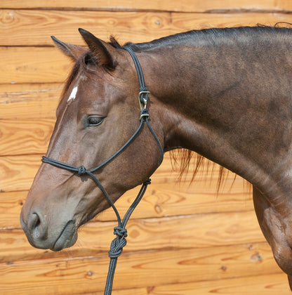 Quick Change Rope Halter