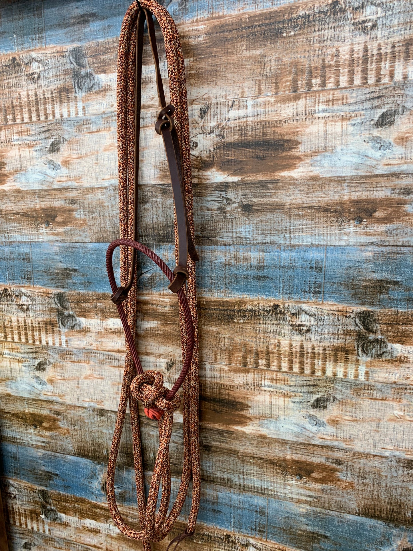 Loping Hackamore With Split Reins