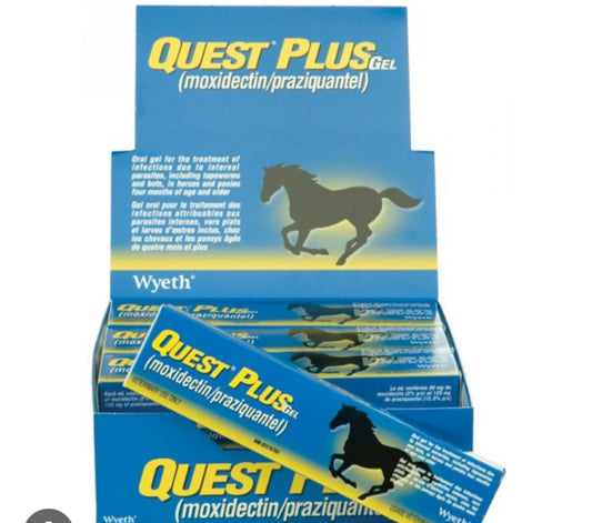 Quest Plus