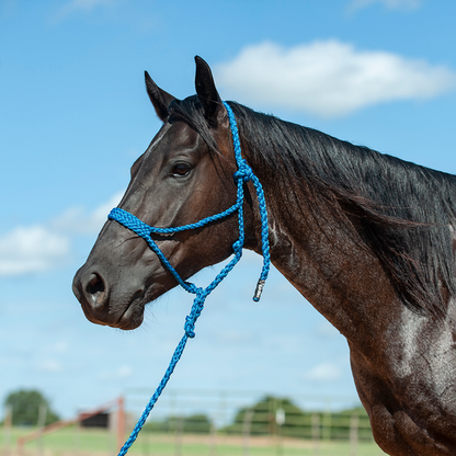 Cashel Flat Braid Halter