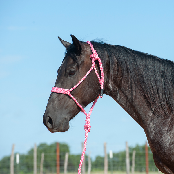 Cashel Flat Braid Halter