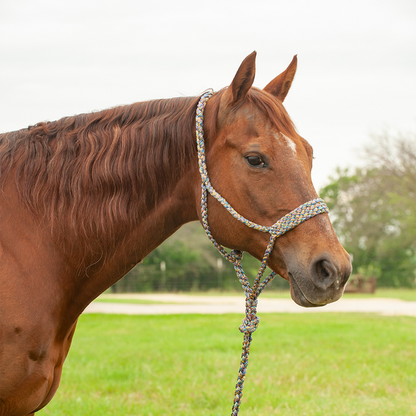 Cashel Flat Braid Halter