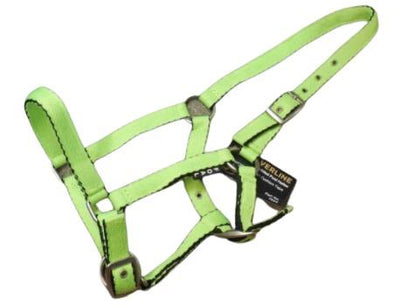 Silverline padded foal halter