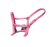 Silverline padded foal halter