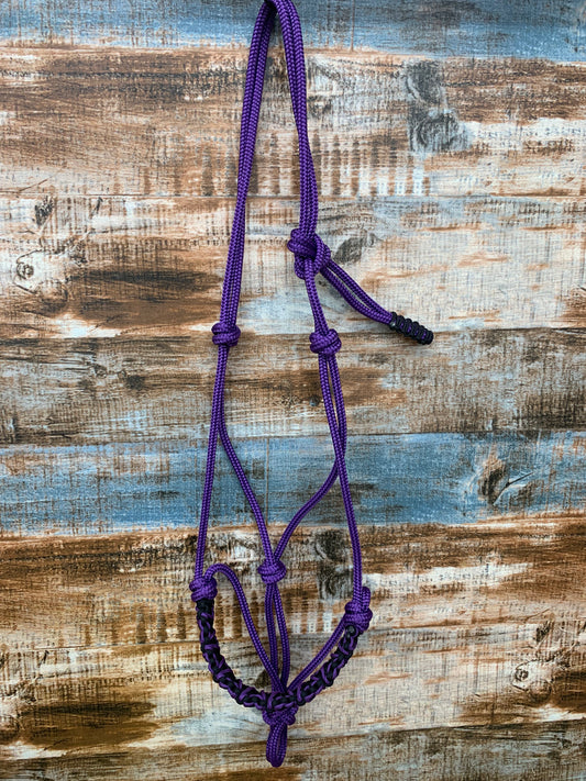 Rope Halters with Paracord Nosebands