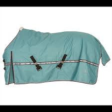 10K Cross Trainer Blanket Turquoise by CE