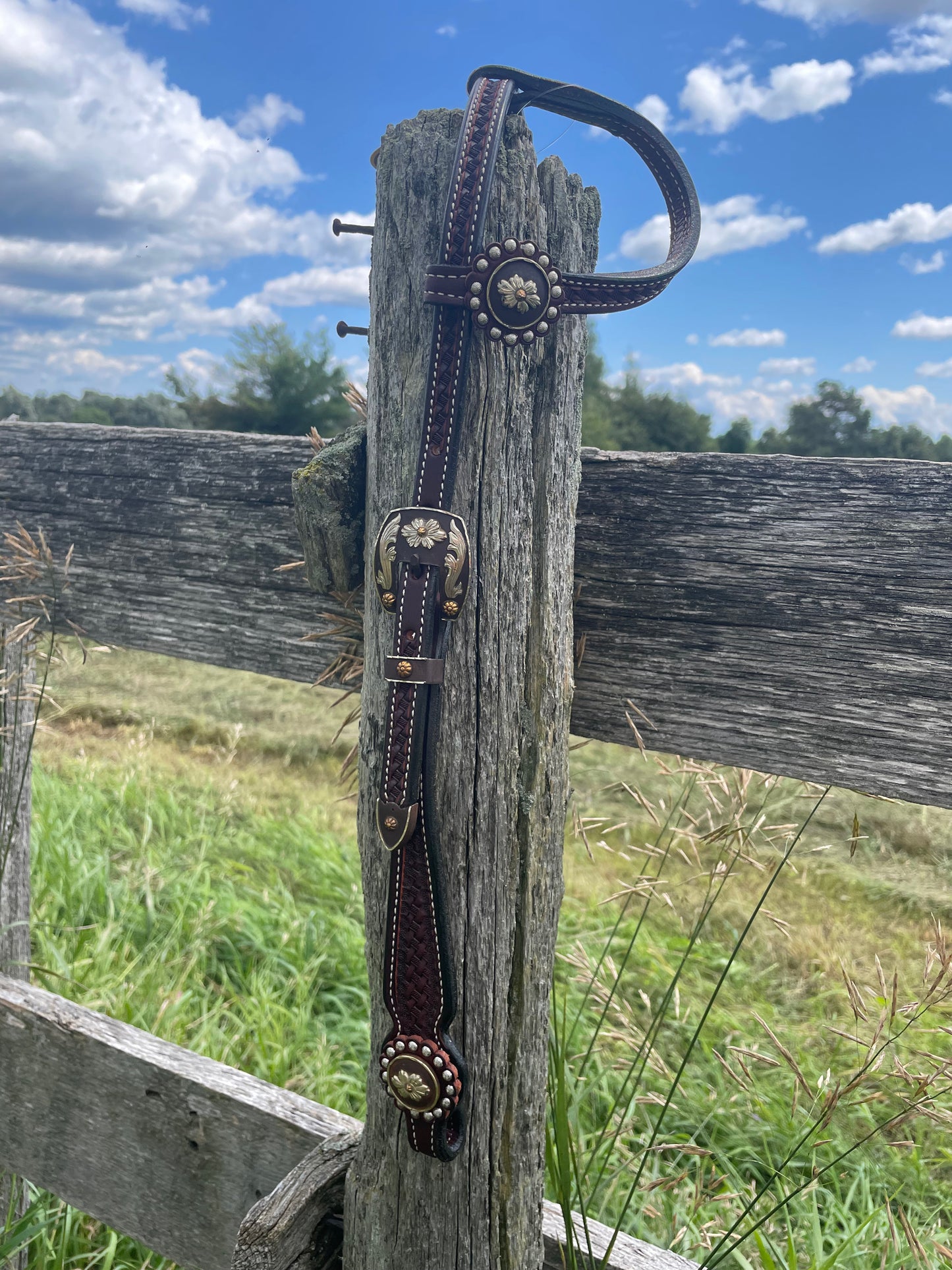 CPT One Eared Dark with Ant Floral Conchos