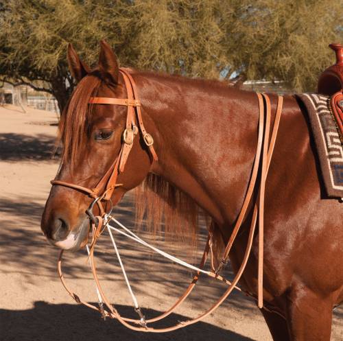 German Martingale Split Rein Style